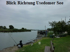Blick Richtung Usedomer See